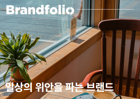 오늘의 인사이트 썸네일
